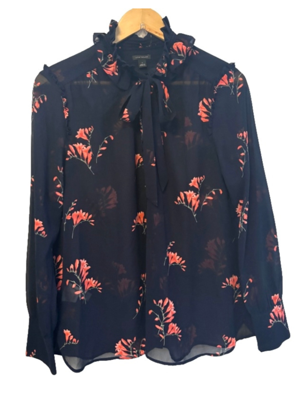 Ann Taylor SZ S